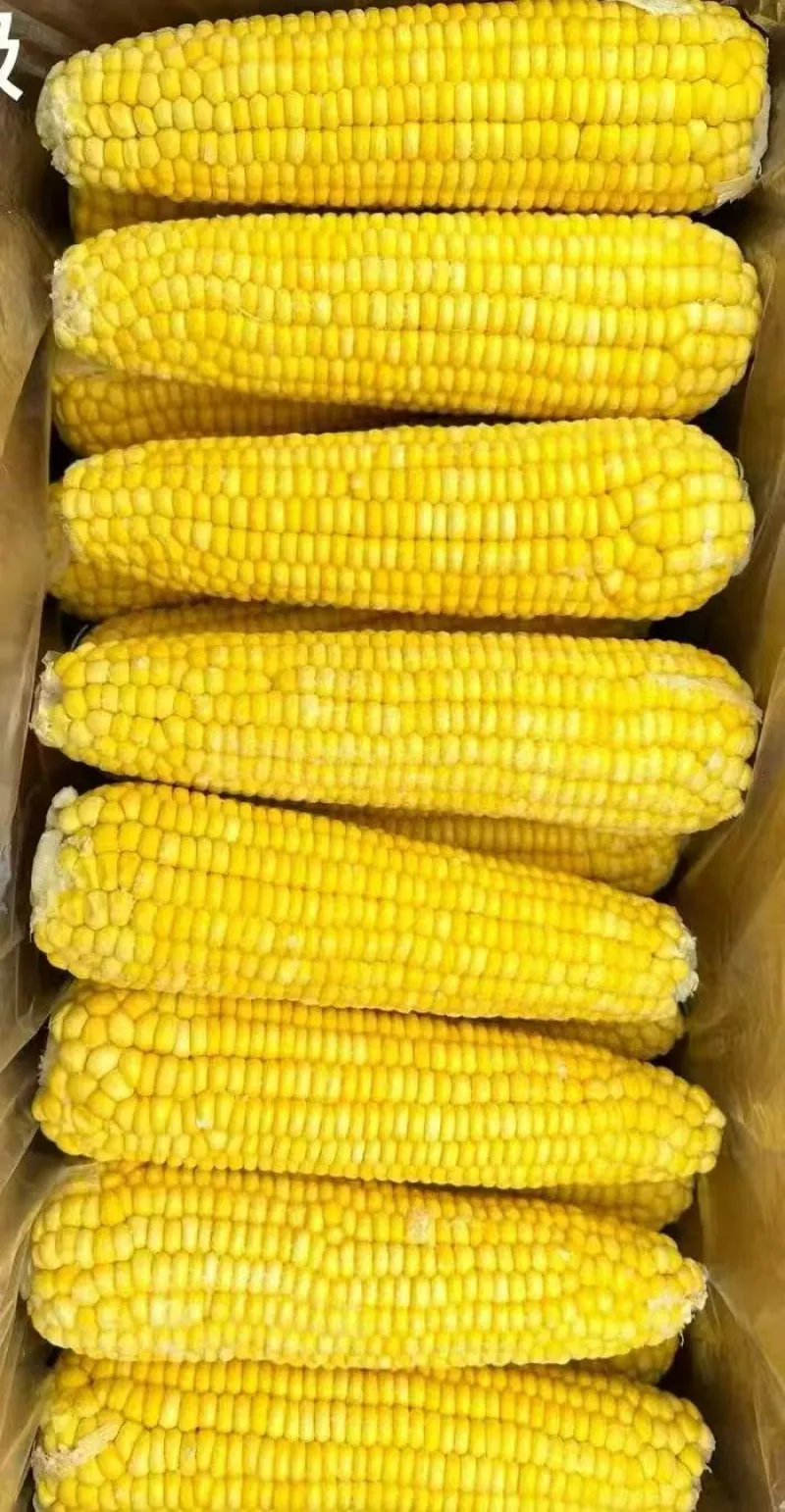 速冻生玉米